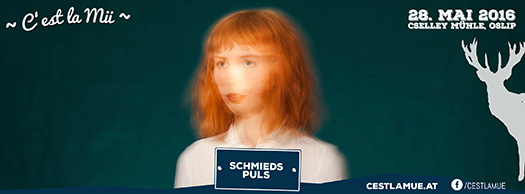 Schmieds Puls 