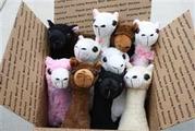 PacaBuddies plush alpaca toys