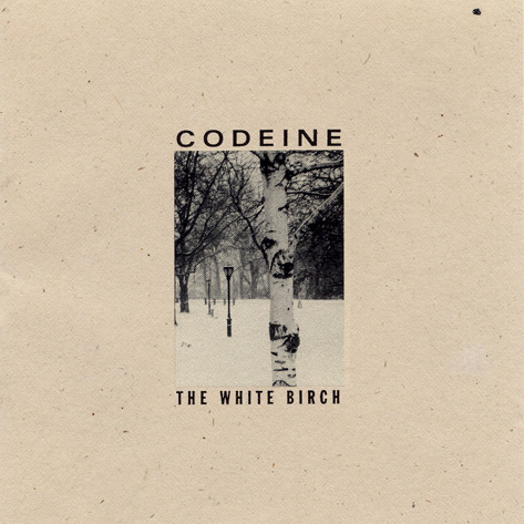 codeine white birch