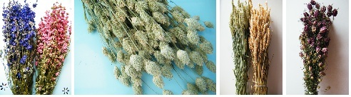 flower bunches flower bunches