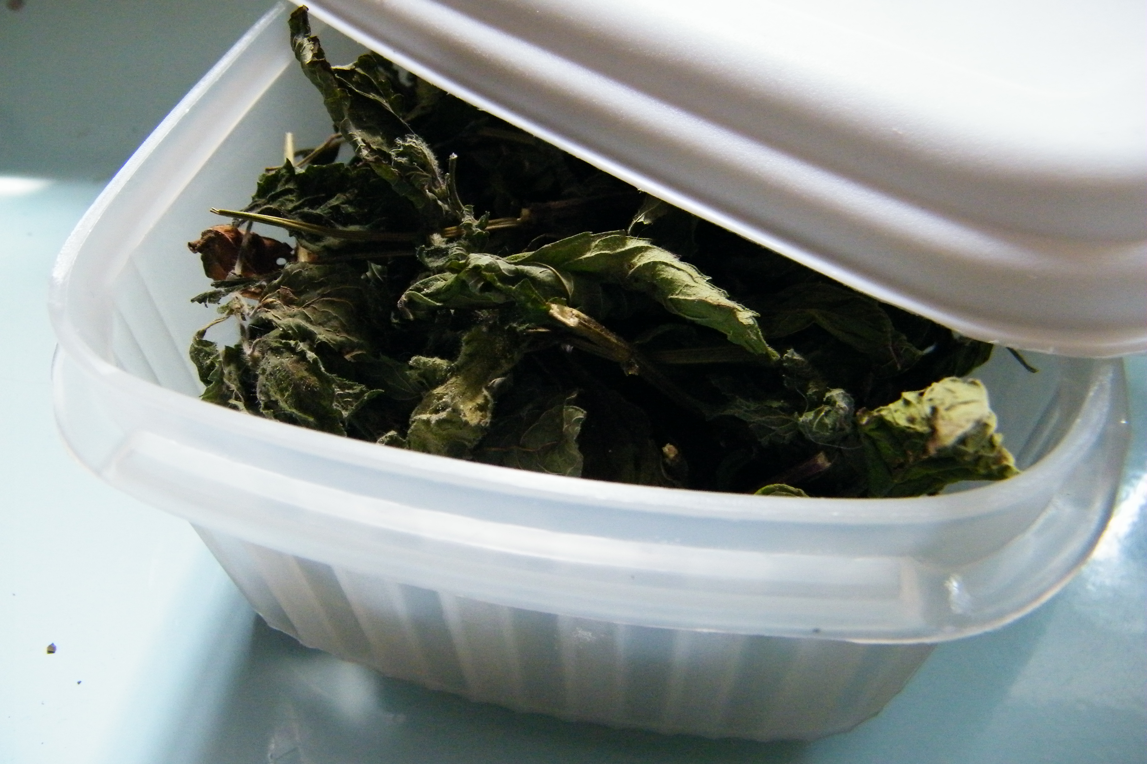 dried leaves in tupperware