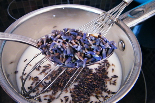 adding culinary dried lavender to milk