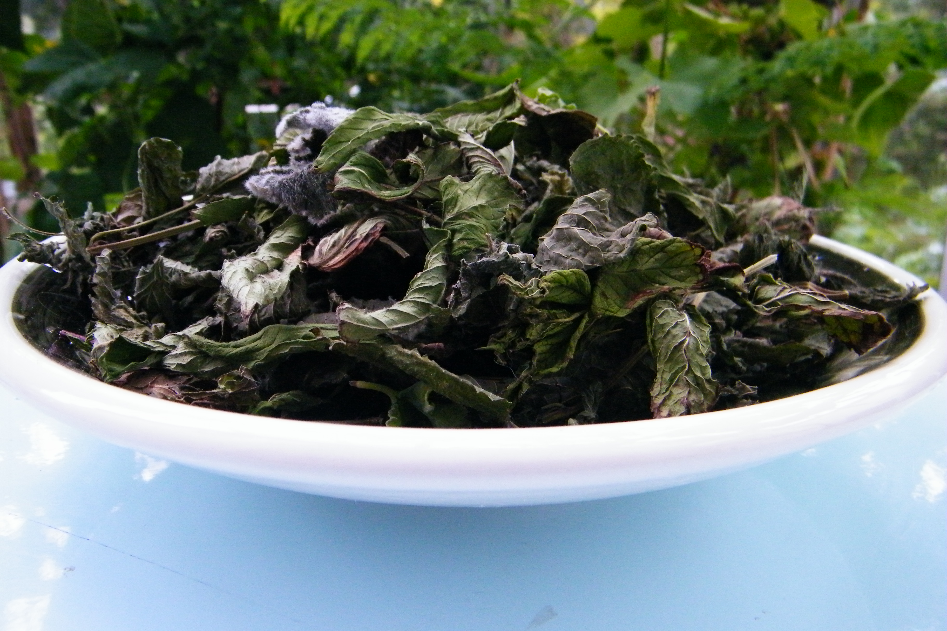 scented leaf potpourri