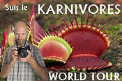 Karnivores World Tour