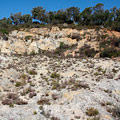 Biotope de Drosophyllum lusitanicum