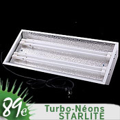 Turbo-Néons Starlite