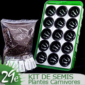 Kit de semis plantes carnivores