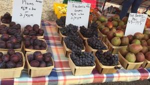 Mundelein Farmers Market