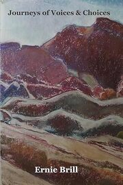 journeysvoiceschoices