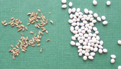 pelleted seed