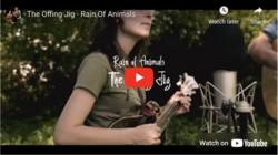 Rain of Animals