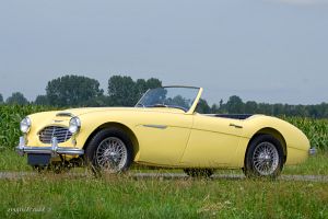 Austin Healey 3000 Mk I. CLICK HERE / KLIK HIER