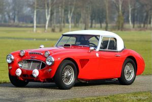 Austin Healey rally car. CLICK HERE