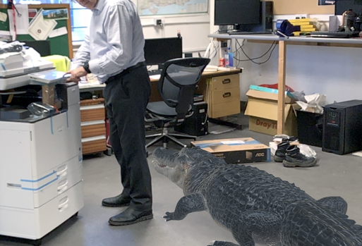 For [CONTACT]: Alligator in your office? Puzzler. New backup policy