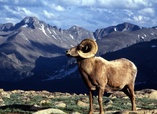 Rocky Mountain National Park