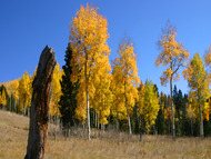 Autumn in the perfect time to plan your leaf peeping getaway to a Colorado B&B inn