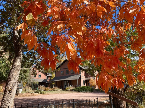 Blue Skies Inn autumn colors add a beautiful touch to this Manitou Springs B&B
