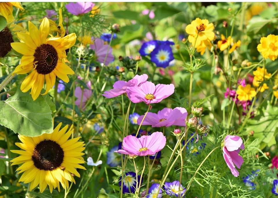Spring has sprung in Colorado's favorite B&Bs