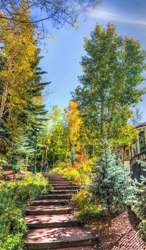 The aspen fall colors in Colorado offer great hiking opportunities