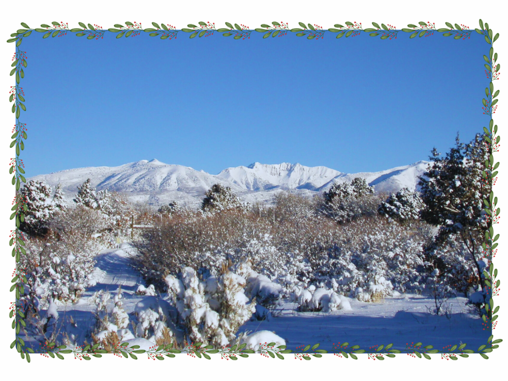 Blue Lake Ranch, Durango CO 