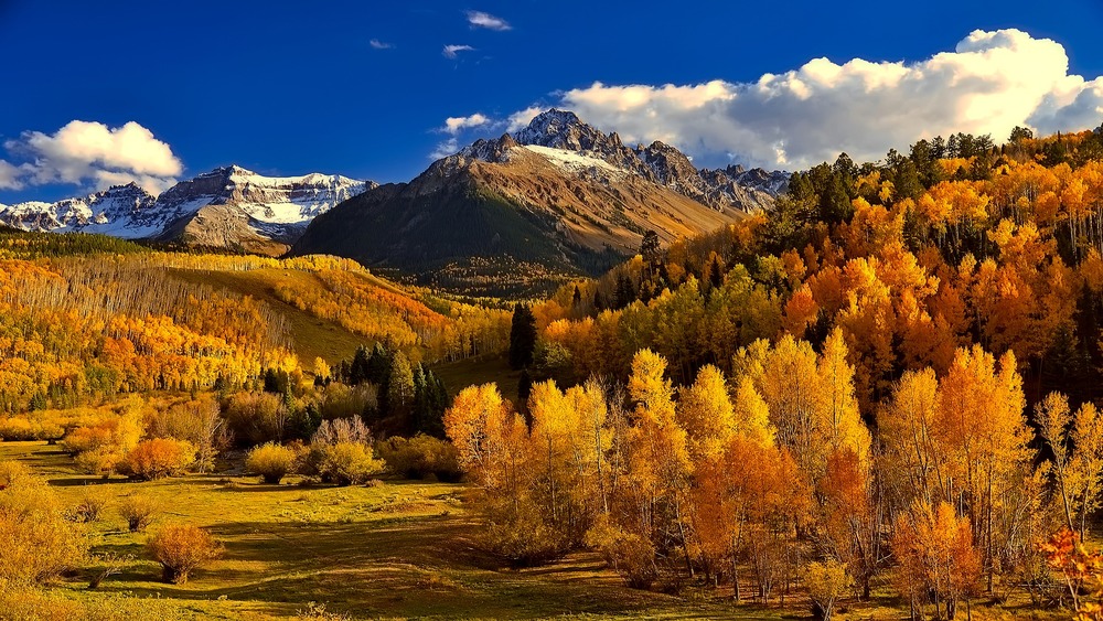 Leaf peeping is popular to see Colorado aspens in the Fall