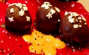 Holden House Chocolate Covered Peanut Truffles