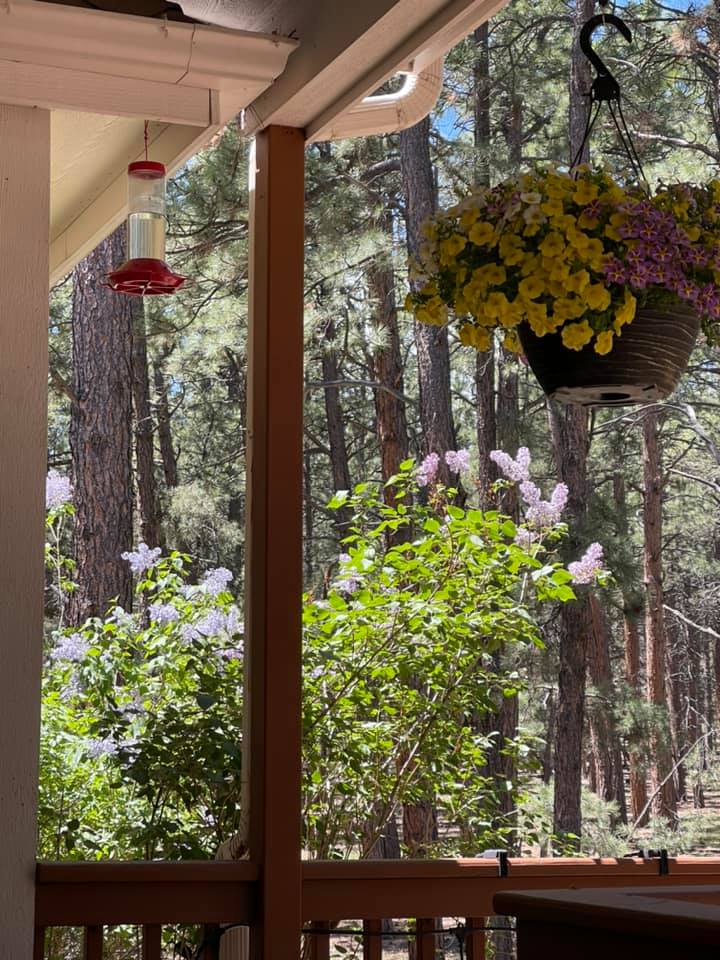 Rogers Inn the Pines Monument, CO