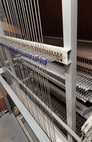 oRGEL 1
