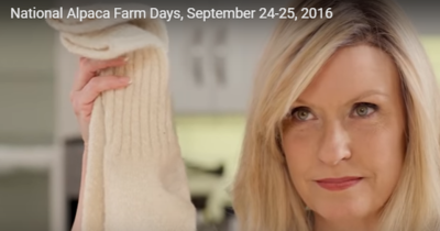 National Alpaca Farm Days video