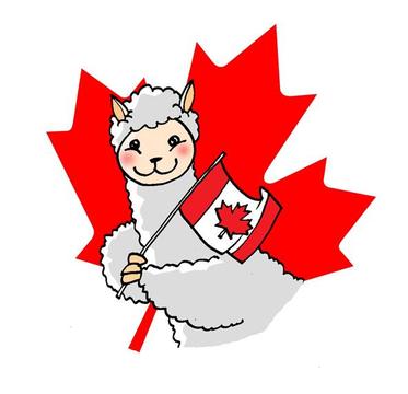 lower alpaca wholesale shipping to CANADA