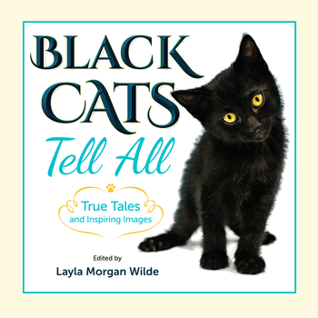 black cats tell all