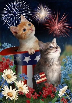cats july4