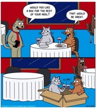 Cats Date