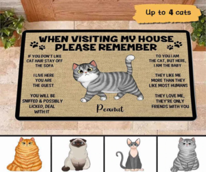 Cat Rules of the House