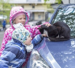 Kids Respecting an Outdoor Cat