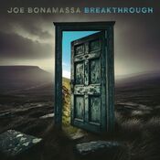 Stef Bos - Bloemlezing 2020 - CD