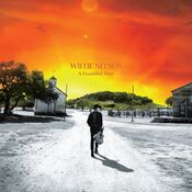 Willie Nelson - A Beautiful Time - CD