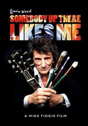 Ronnie Wood - Somebody Up There Likes Me - DVD