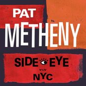 Pat Metheny Side Eye