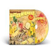 Panic At The Disco - Viva Las Vengeance - CD