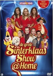 De Grote Sinterklaas Show @Home - DVD