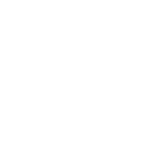 Coporate & Securities