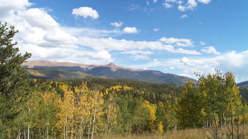 Colorado Fall Foliage near Holden House B&B