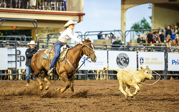 The Pikes Peak or Bust Rodeo is one of the fun events nearby Holden House B&B