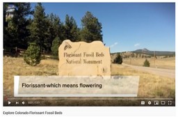 Florissant Fossil Beds National Monument