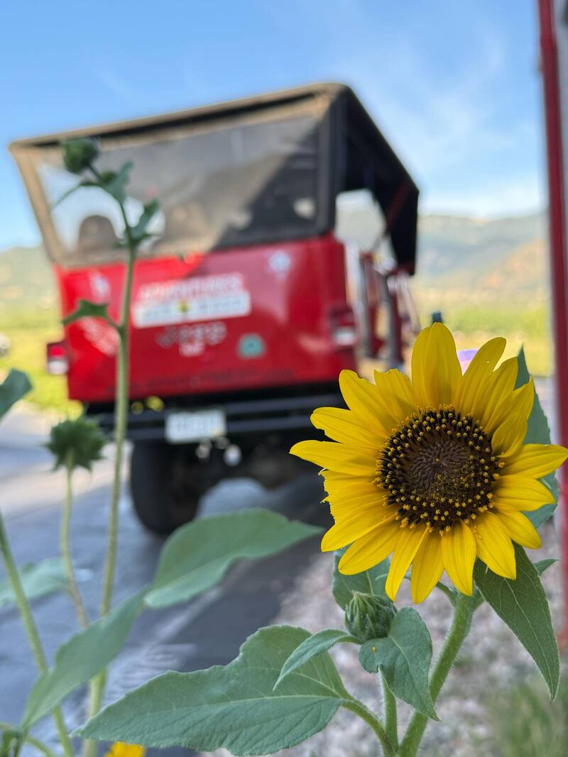 Colorado Springs Adventures Out West Jeep Tours