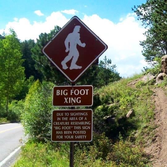 Pikes Peak is known for its majestic views and keep a lookout for forest wildlife.