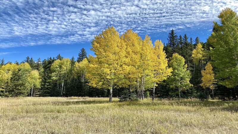 Fall colors are coming in September at Colorado Springs Holden House