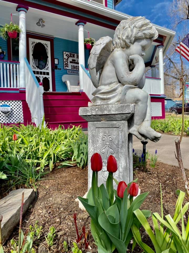 Spring is just around the corner with flowers in the garden at Holden House