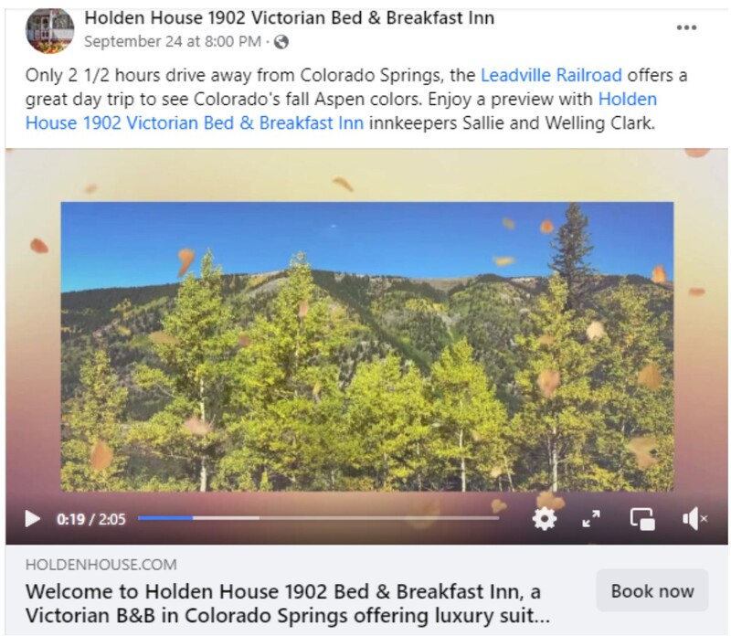 Check out Holden House videos and reels